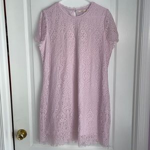 Francesca’s Lace Dress